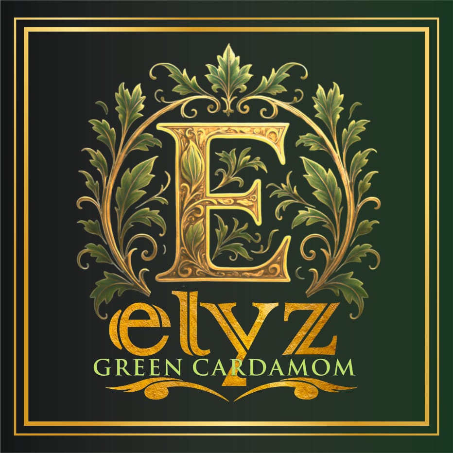 Elyz
